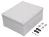 Carcasă universală SCHNEIDER ELECTRIC Policarbonat IP66 Gri IK08 241x291x128mm