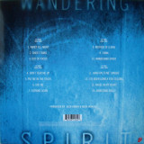 Wandering Spirit - Vinyl | Mick Jagger, Rock, Polydor Records