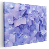 Tablou flori de hortensie mov 1715 Tablou canvas pe panza CU RAMA 60x80 cm