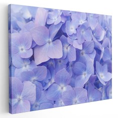 Tablou flori de hortensie mov 1715 Tablou canvas pe panza CU RAMA 20x30 cm