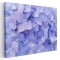 Tablou flori de hortensie mov 1715 Tablou canvas pe panza CU RAMA 20x30 cm