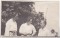 Foto  - 1