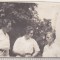 bnk foto Principesa Ileana - 1930 - actiune Cercetasele Romaniei la Horezu