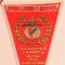 Fanion fotbal - BENFICA LISABONA (Portugalia)