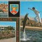 CPIB 16312 CARTE POSTALA - DELFINARIU CONSTANTA. ASPECT DIN SPECTACOL