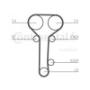 Kit distributie Contitech CT978K2, CONTINENTAL CTAM