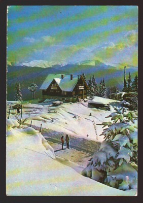 CPIB 22336 - CARTE POSTALA - SINAIA. CABANA &amp;quot;BRADET&amp;quot; foto