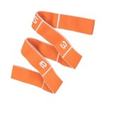 Elastic de antrenament pentru exercitii de tonifere a abdomenului, picioarelor, soldurilor si taliei, ElasticBand LS3660, 88x4 cm