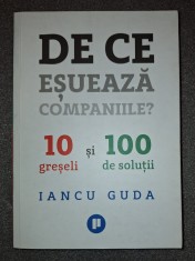 Iancu Guda&nbsp;-&nbsp;De ce esueaza companiile? (10 greseli si 100 de solutii)