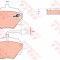 Set placute frana,frana disc LAND ROVER DISCOVERY II (LJ, LT) (1998 - 2004) TRW GDB976