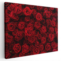 Tablou flori trandafiri rosii Tablou canvas pe panza CU RAMA 50x70 cm