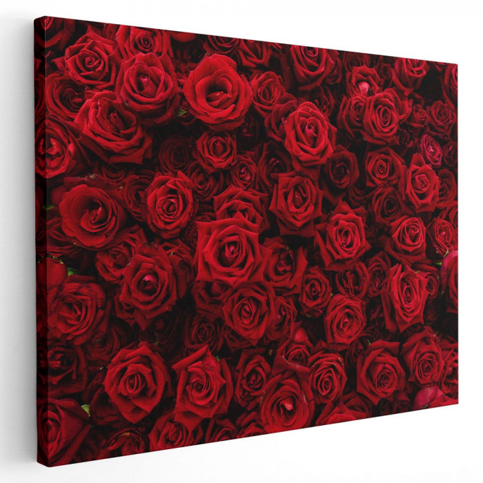 Tablou flori trandafiri rosii Tablou canvas pe panza CU RAMA 70x100 cm