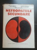 Nefropatiile secundare - Nicolae Mănescu, Leonida Georgescu, Ioan Romoșan