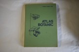 Popovici, Moruzi, Toma - Atlas botanic (1994)