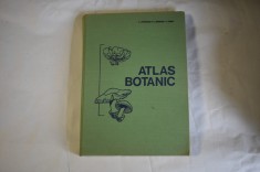 Popovici, Moruzi, Toma - Atlas botanic (1994)