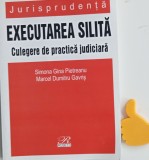 Executarea silita Culegere de practica judiciara - Simona Gina Pietreanu,
