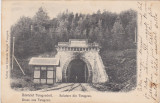 CP Salutare din Teregova ND(1905), Circulata, Fotografie, Caras-Severin