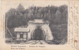 CP Salutare din Teregova ND(1905)