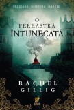 O fereastra intunecata - Storia Books