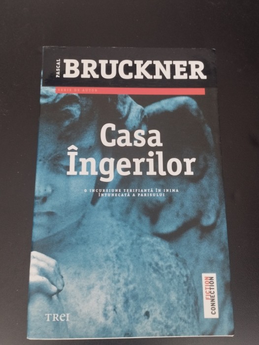 Casa Ingerilor - Pascal Bruckner