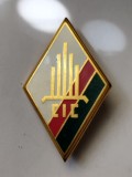 bnk ins Franta Insigna militara Legiunea Straina - Compagnie d'Instruction des Cadres (CIC) of the 4th Foreign Regiment (4e REI)