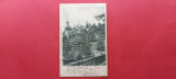 Prahova Sinaia Castelul Peles In relief Embosata En Relief 1900, Circulata, Printata