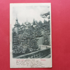 Prahova Sinaia Castelul Peles In relief Embosata En Relief 1900