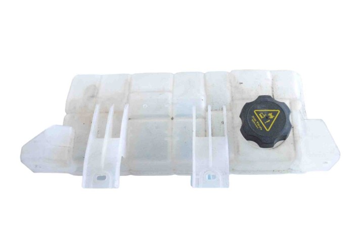 Vas de expansiune TESLA MODEL X 2020 OEM: 1036124-00-O 24821311