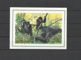 RWANDA 1985 FAUNA MAIMUTE GORILE, Nestampilat