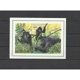 RWANDA 1985 FAUNA MAIMUTE GORILE
