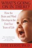 What&#039;s Going on in There?: How the Brain and Mind Develop in the First Five Years of Life