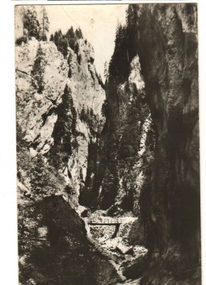 CPIB 15946 CARTE POSTALA - MUNTII BUCEGI. CHEILE ORZEI, ORZII foto