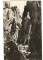 Foto  - 1