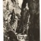 CPIB 15946 CARTE POSTALA - MUNTII BUCEGI. CHEILE ORZEI, ORZII