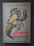 ZOOLOGIE MANUAL PENTRU CLASA A IX-A - Bogoescu, Sanielevici 1964