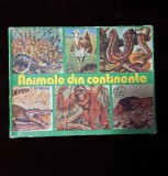 Animale din continente Joc vechi perioada comunista