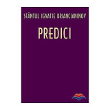 Predici - sf. Ignatie Briancianinov