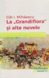 La "Grandiflora" si alte nuvele