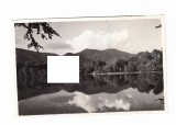CP Baia Mare (Nagybanya) - Peisaj, circulata 1943, stare buna