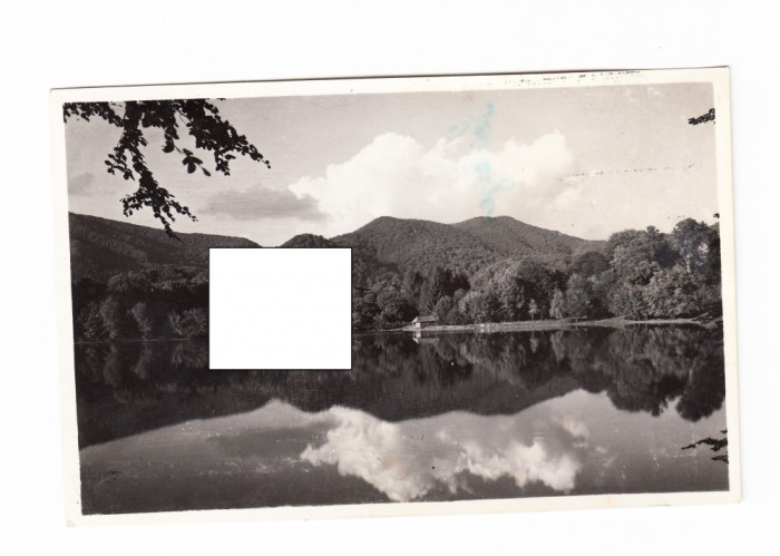 CP Baia Mare (Nagybanya) - Peisaj, circulata 1943, stare buna