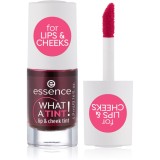 Essence WHAT A TINT! blush lichid și luciu de buze culoare 01 Kiss From A Rose 4.9 ml