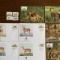 antile - serie 4 timbre MNH, 4 FDC, 4 maxime, fauna wwf