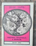 Cresterea industriala a iepurilor-Fratila Nicolae