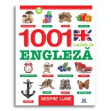 Despre lume: 1001 cuvinte in Engleza