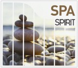 Spirit of Spa | Various Artists, World Music