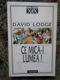 David Lodge - Ce mica-i lumea! (1997)