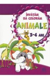 Invatam sa coloram: Animale 3-4 ani