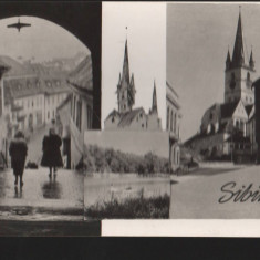 CPI B13624 CARTE POSTALA - SIBIU - MOZAIC, RPR, 1958