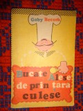 Bucate alese de prin tara culese - Gaby Becsek / carte de bucate / 335 retete