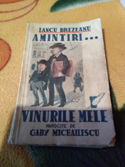 Iancu Brezeanu-Amintiri... Vinurile mele, carte veche foto